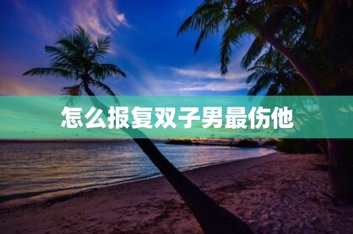 怎么报复双子男最伤他