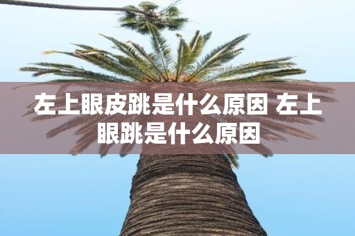 左上眼皮跳是什么原因 左上眼跳是什么原因