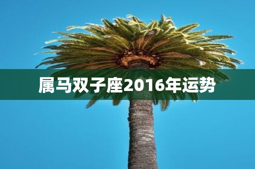 属马双子座2016年运势