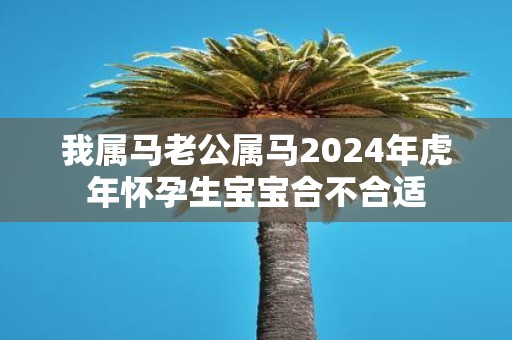 我属马老公属马2025年虎年怀孕生宝宝合不合适