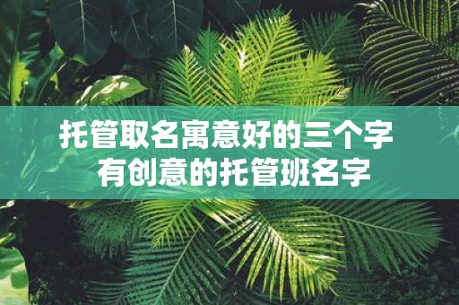托管取名寓意好的三个字 有创意的托管班名字