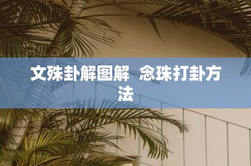 文殊卦解图解 念珠打卦方法