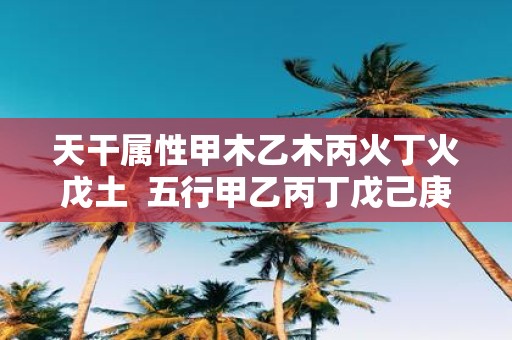 天干属性甲木乙木丙火丁火戊土 五行甲乙丙丁戊己庚辛壬癸