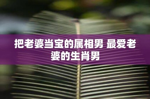 把老婆当宝的属相男 最爱老婆的生肖男