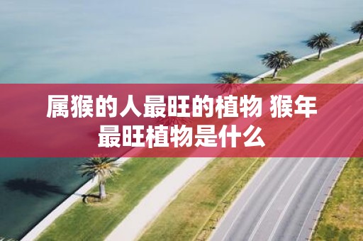 属猴的人最旺的植物 猴年最旺植物是什么