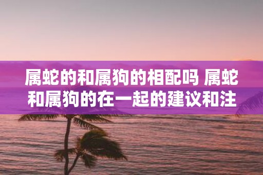 属蛇的和属狗的相配吗 属蛇和属狗的在一起的建议和注意事项