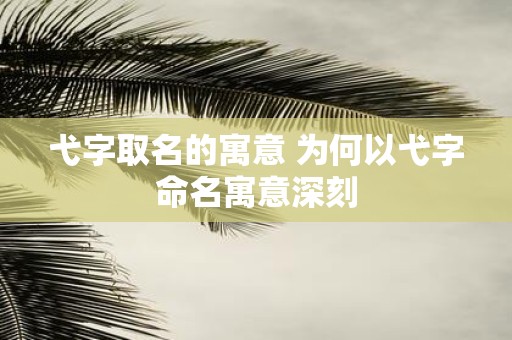 弋字取名的寓意 为何以弋字命名寓意深刻