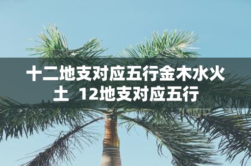 十二地支对应五行金木水火土 12地支对应五行