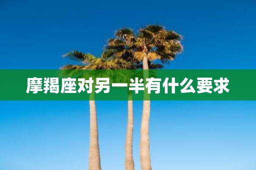 摩羯座对另一半有什么要求