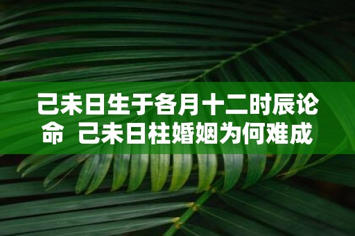 己未日生于各月十二时辰论命 己未日柱婚姻为何难成