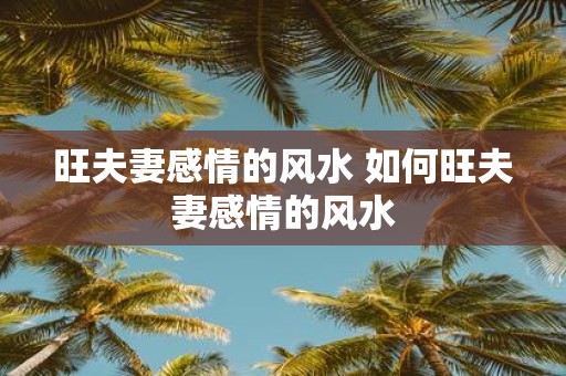 旺夫妻感情的风水 如何旺夫妻感情的风水
