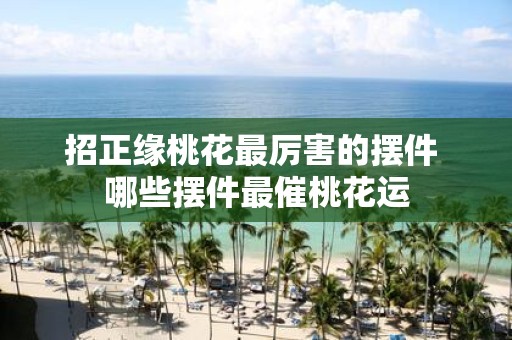 招正缘桃花最厉害的摆件 哪些摆件最催桃花运
