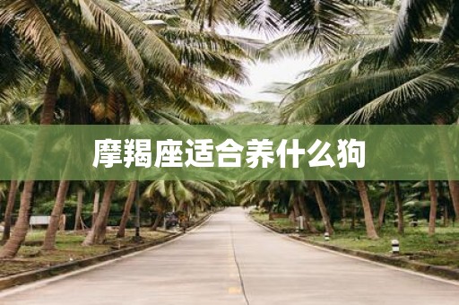 摩羯座适合养什么狗