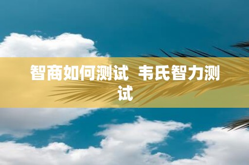 智商如何测试 韦氏智力测试