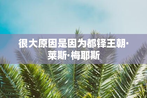 很大原因是因为都铎王朝·莱斯·梅耶斯
