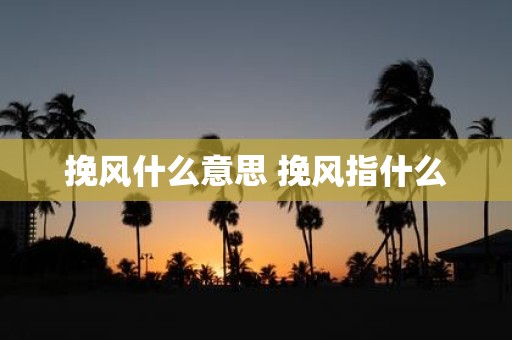 挽风什么意思 挽风指什么