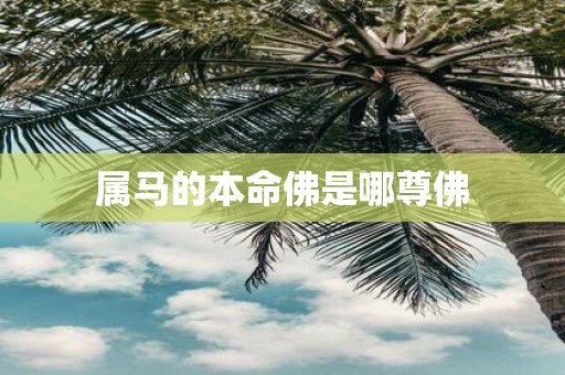 属马的本命佛是哪尊佛