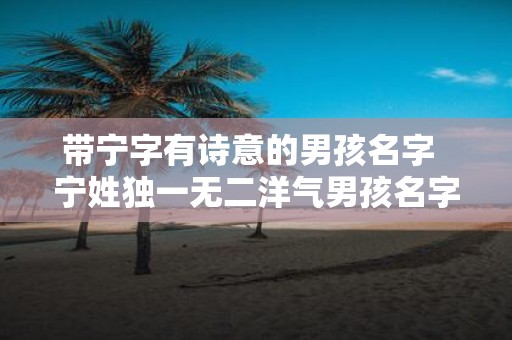 带宁字有诗意的男孩名字 宁姓独一无二洋气男孩名字