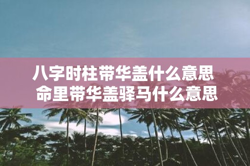八字时柱带华盖什么意思 命里带华盖驿马什么意思