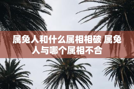 属兔人和什么属相相破 属兔人与哪个属相不合