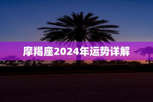 摩羯座2025年运势详解