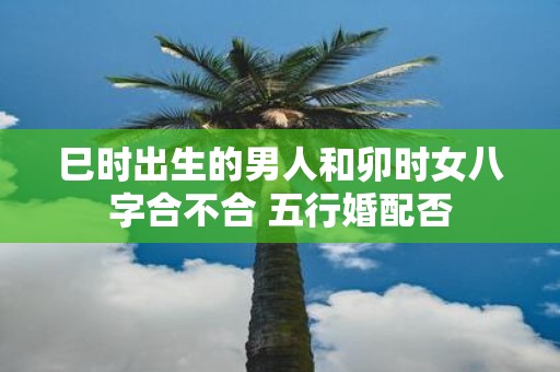 巳时出生的男人和卯时女八字合不合 五行婚配否