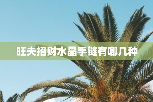旺夫招财水晶手链有哪几种
