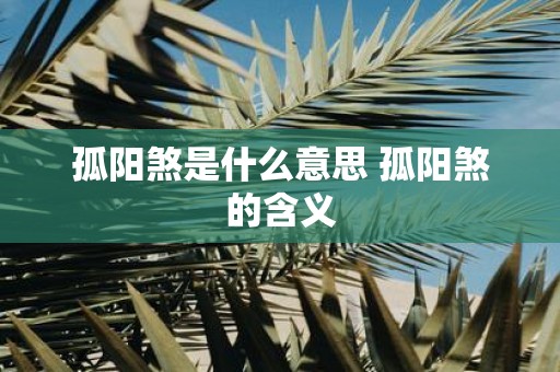 孤阳煞是什么意思 孤阳煞的含义