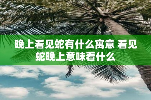 晚上看见蛇有什么寓意 看见蛇晚上意味着什么
