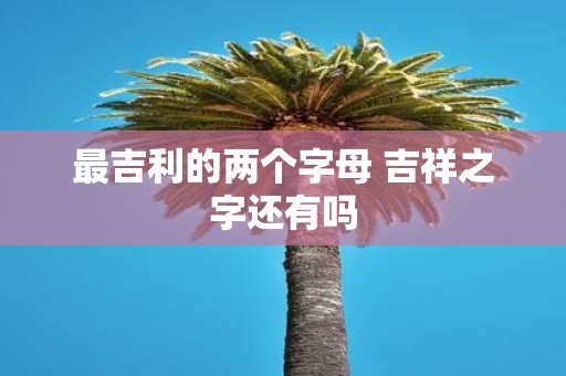 最吉利的两个字母 吉祥之字还有吗