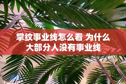 掌纹事业线怎么看 为什么大部分人没有事业线
