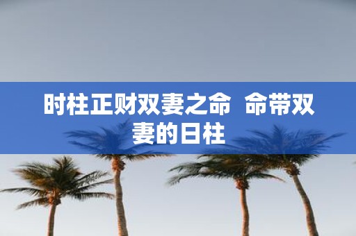 时柱正财双妻之命 命带双妻的日柱