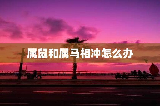 属鼠和属马相冲怎么办