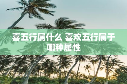 喜五行属什么 喜欢五行属于哪种属性