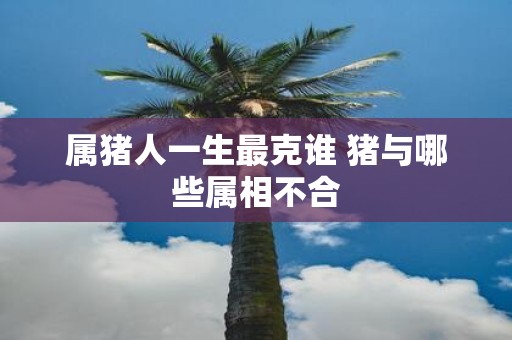属猪人一生最克谁 猪与哪些属相不合