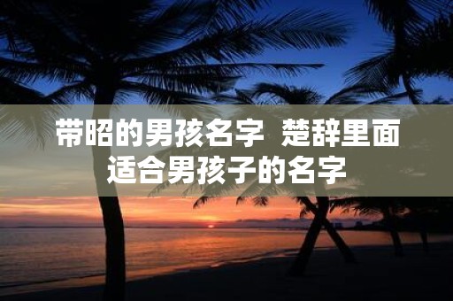 带昭的男孩名字 楚辞里面适合男孩子的名字