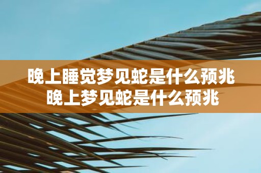 晚上睡觉梦见蛇是什么预兆 晚上梦见蛇是什么预兆