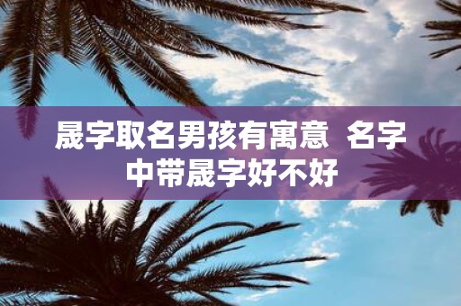 晟字取名男孩有寓意 名字中带晟字好不好