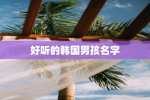 好听的韩国男孩名字