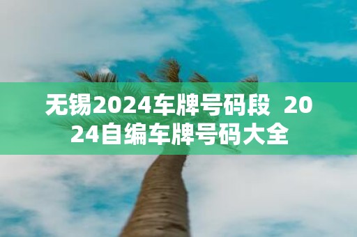 无锡2025车牌号码段 2025自编车牌号码大全