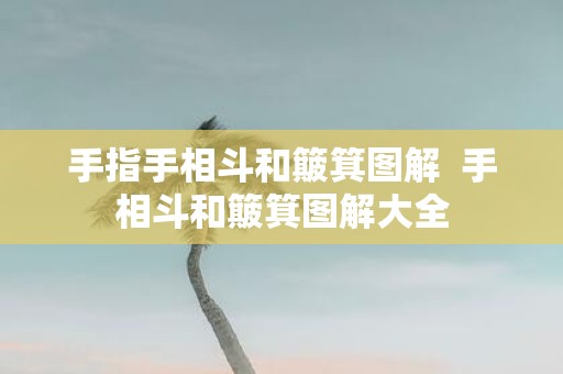 手指手相斗和簸箕图解 手相斗和簸箕图解大全