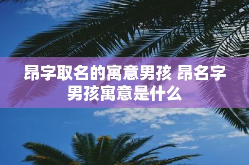 昂字取名的寓意男孩 昂名字男孩寓意是什么