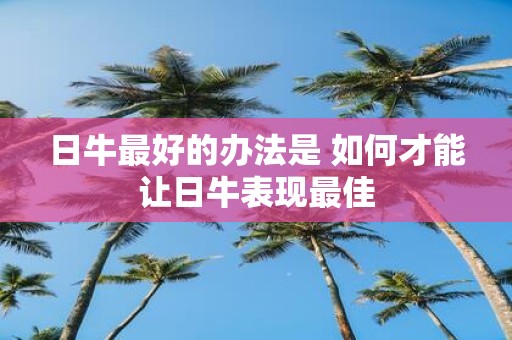 日牛最好的办法是 如何才能让日牛表现最佳