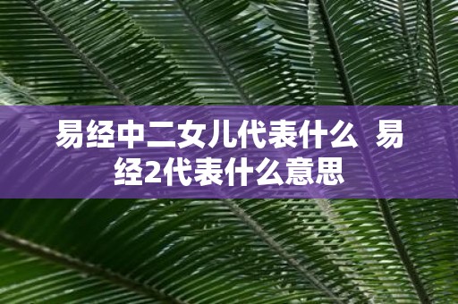 易经中二女儿代表什么 易经2代表什么意思