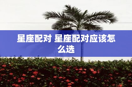 星座配对 星座配对应该怎么选