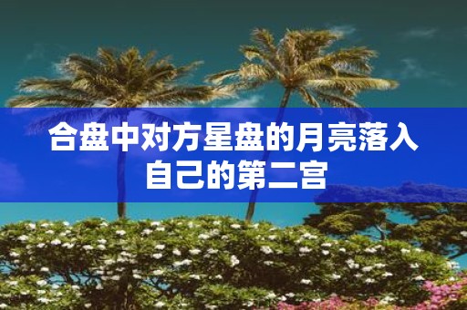 合盘中对方星盘的月亮落入自己的第二宫