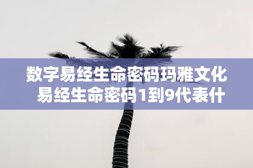 数字易经生命密码玛雅文化 易经生命密码1到9代表什么