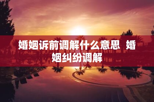 婚姻诉前调解什么意思 婚姻纠纷调解