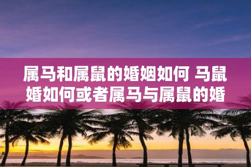 属马和属鼠的婚姻如何 马鼠婚如何或者属马与属鼠的婚姻好吗