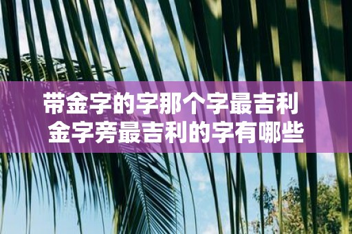 带金字的字那个字最吉利 金字旁最吉利的字有哪些